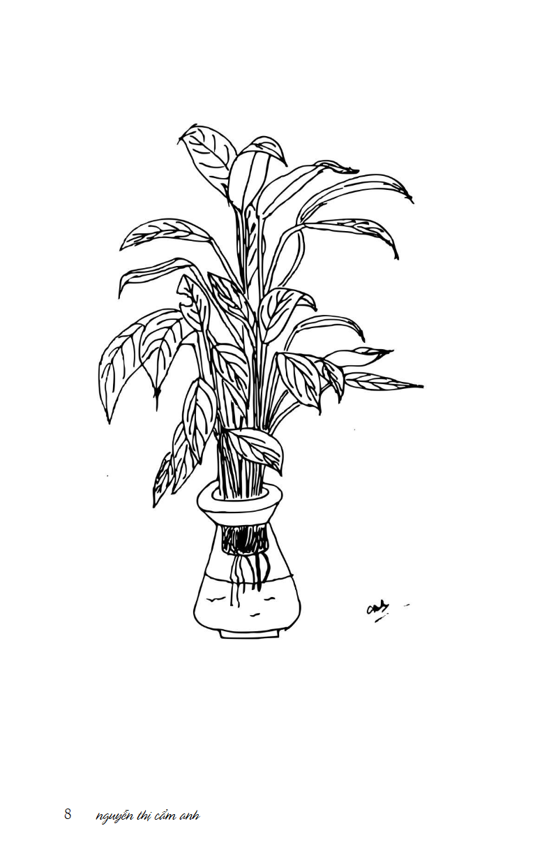 Mùa xuân ở xứ sở nhiệt đới - sách - Image 6