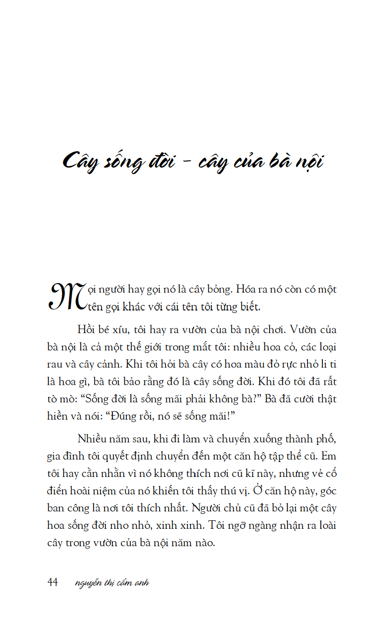 Mùa xuân ở xứ sở nhiệt đới - sách - Image 7