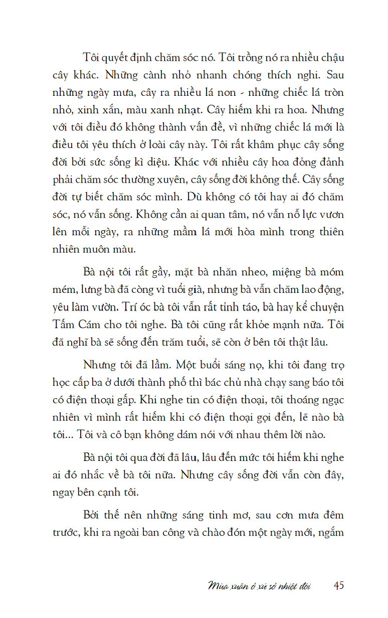 Mùa xuân ở xứ sở nhiệt đới - sách - Image 8